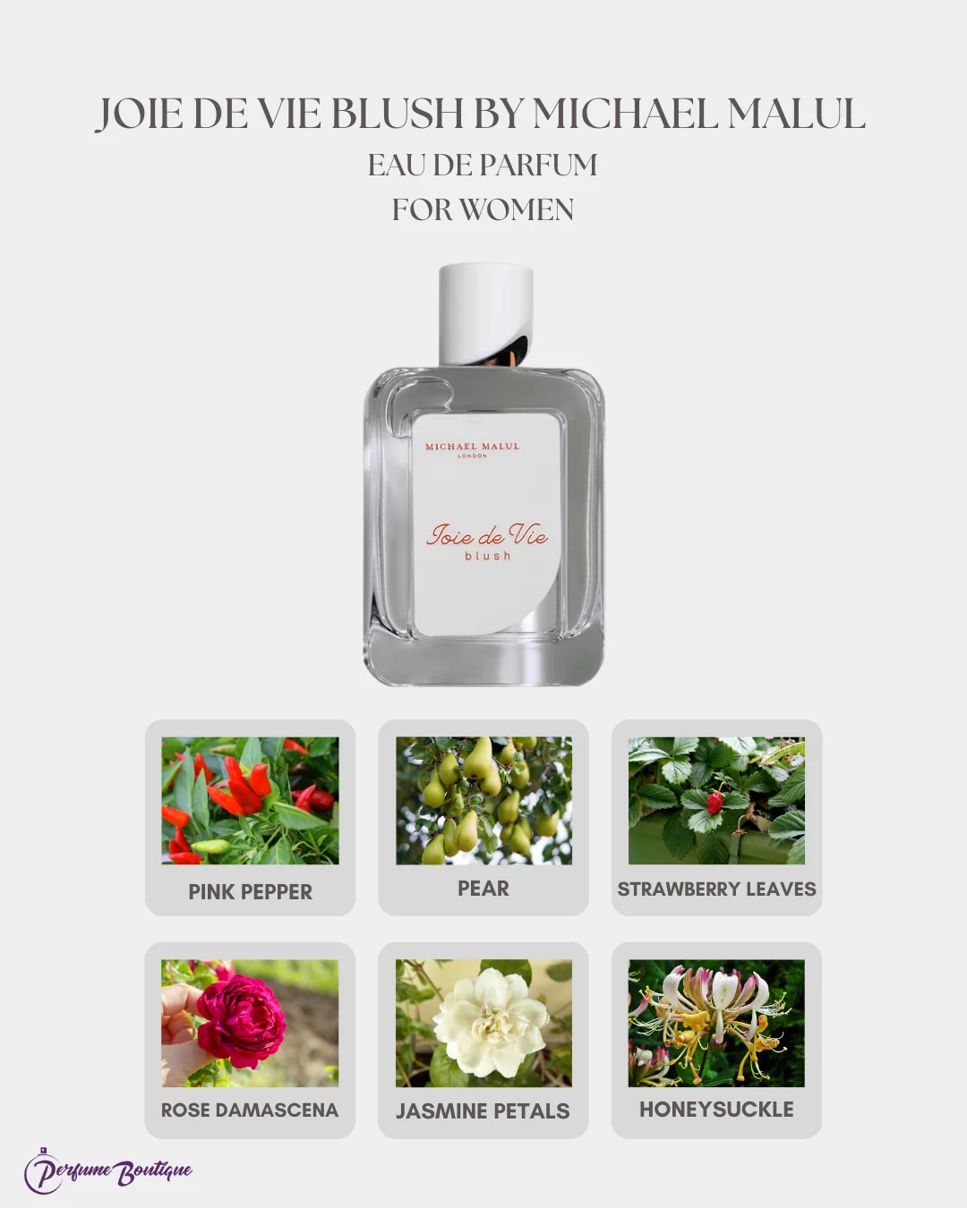 Joie de Vie Blush Eau de Parfum GIFT SET by Michael Malul - Image 2
